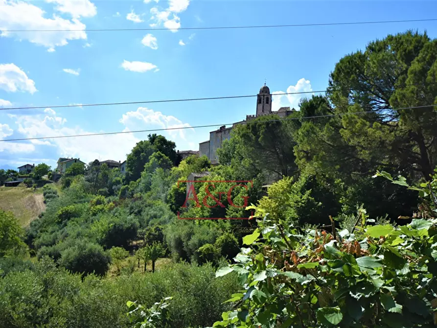 Immagine 33 di Appartamento in vendita  in monsampietro morico a Monsampietro Morico