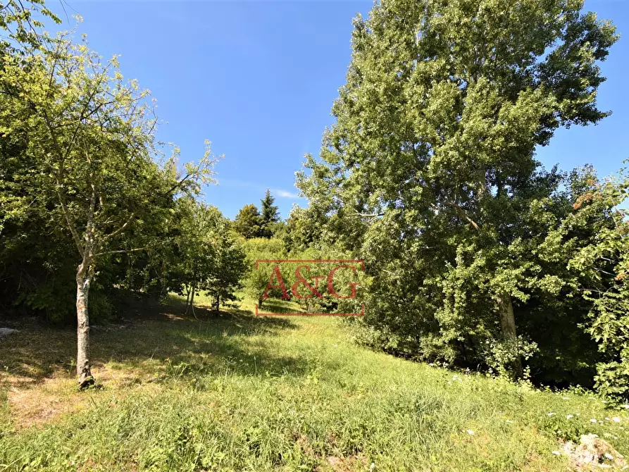 Immagine 15 di Casa indipendente in vendita  in Quinzano snc a Force