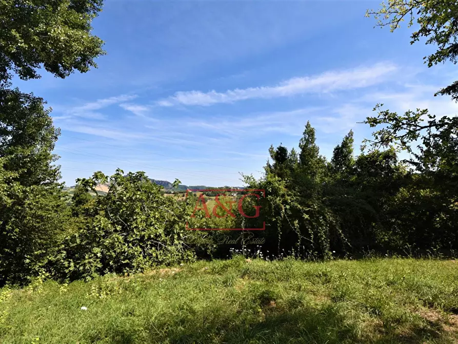 Immagine 21 di Casa indipendente in vendita  in Quinzano snc a Force