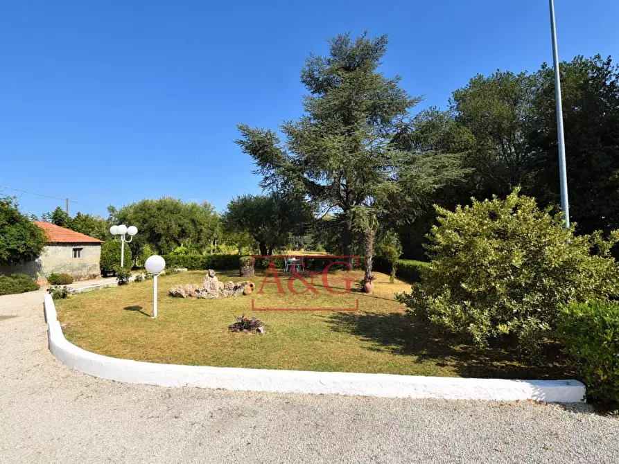 Immagine 42 di Casa semindipendente in vendita  in Contrada Montone 44 a Montegiorgio