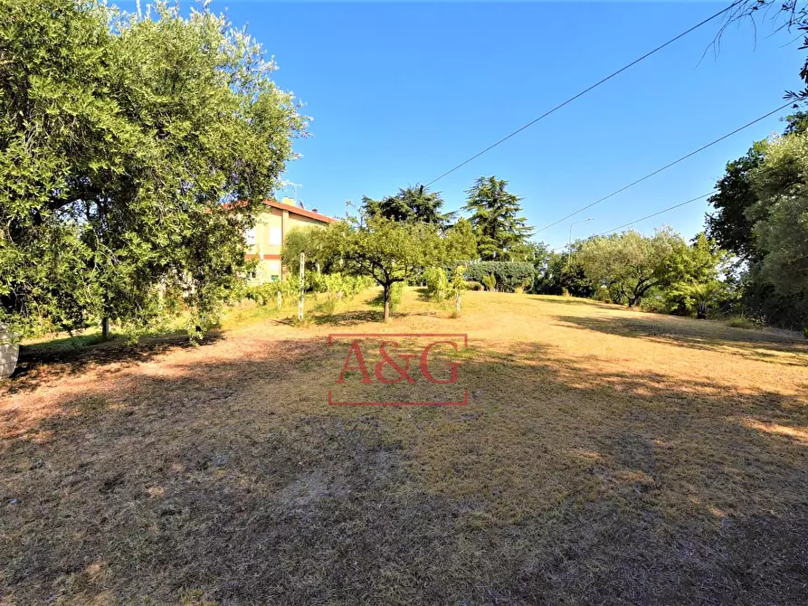 Immagine 44 di Casa semindipendente in vendita  in Contrada Montone 44 a Montegiorgio