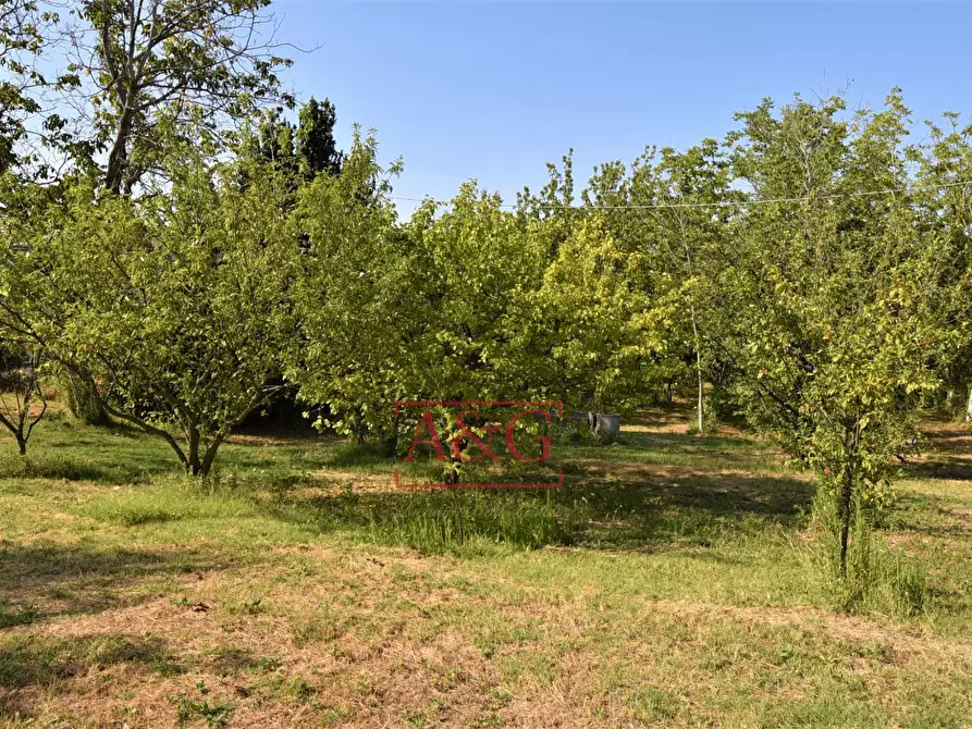 Immagine 46 di Casa semindipendente in vendita  in Contrada Montone 44 a Montegiorgio