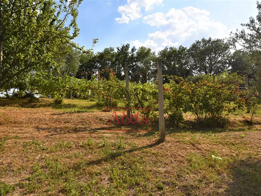 Immagine 47 di Casa semindipendente in vendita  in Contrada Montone 44 a Montegiorgio