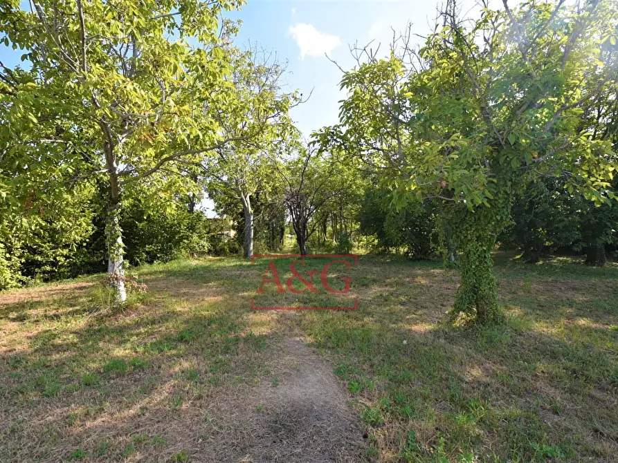 Immagine 52 di Casa semindipendente in vendita  in Contrada Montone 44 a Montegiorgio