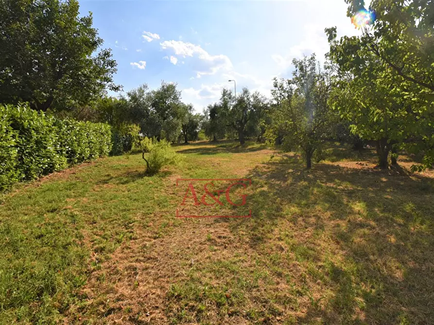 Immagine 56 di Casa semindipendente in vendita  in Contrada Montone 44 a Montegiorgio