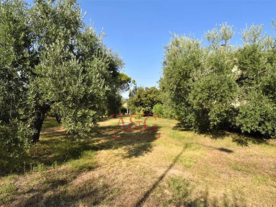 Immagine 58 di Casa semindipendente in vendita  in Contrada Montone 44 a Montegiorgio