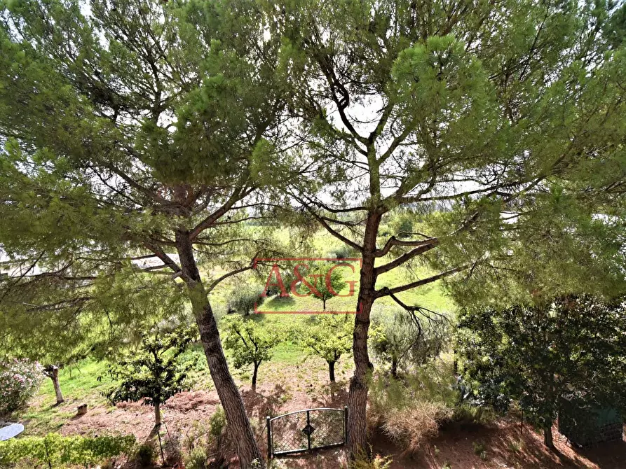 Immagine 51 di Villa in vendita  in Via Tenna 4 a Magliano Di Tenna