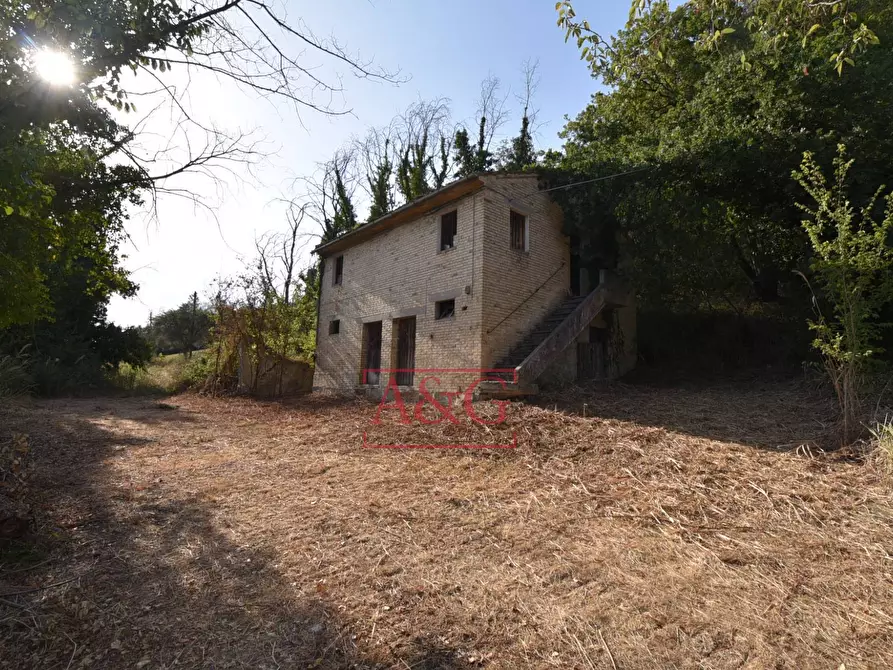 Immagine 6 di Rustico / casale in vendita  in Via Bresciano a Massa Fermana