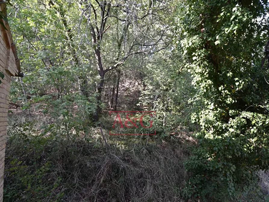 Immagine 10 di Rustico / casale in vendita  in Via Bresciano a Massa Fermana