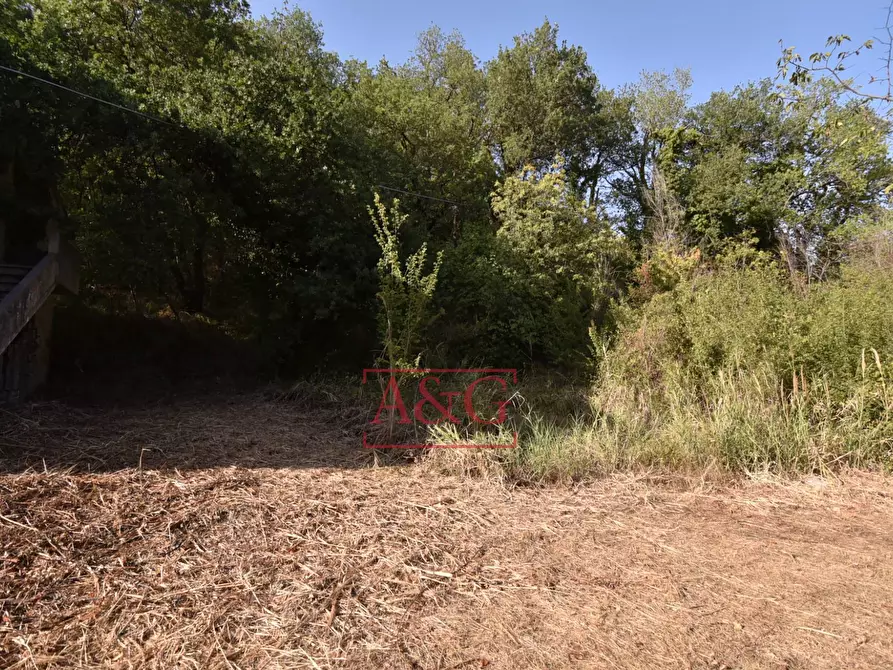 Immagine 19 di Rustico / casale in vendita  in Via Bresciano a Massa Fermana