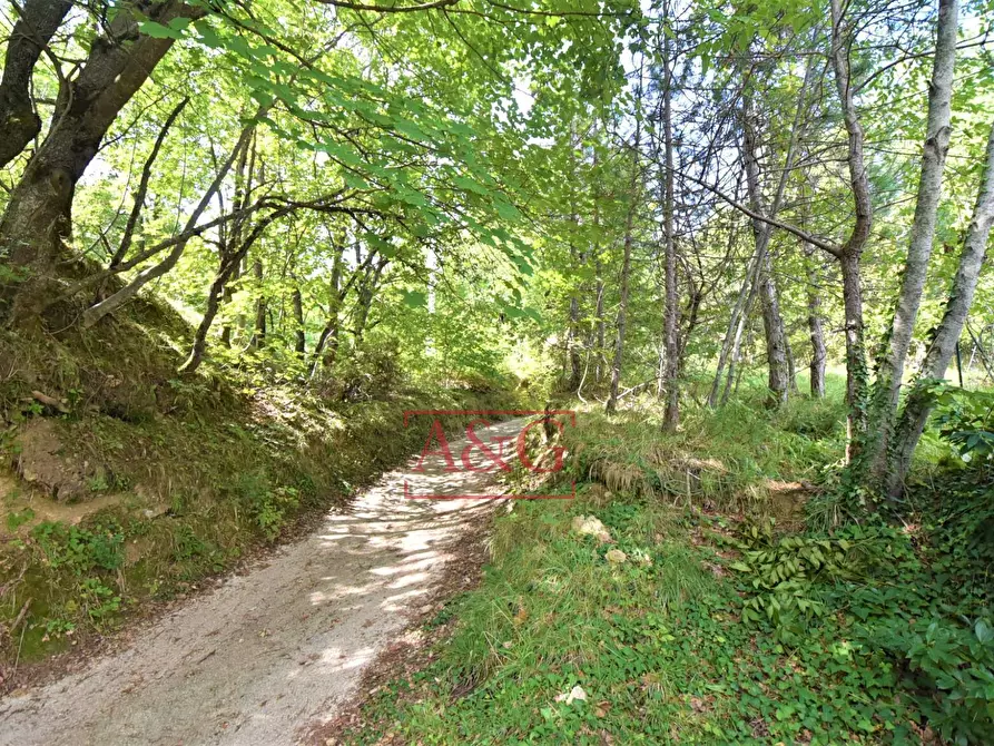 Immagine 33 di Villetta a schiera in vendita  in contrada luogo di sasso a Montefalcone Appennino