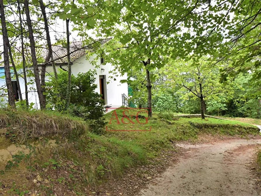 Immagine 35 di Villetta a schiera in vendita  in contrada luogo di sasso a Montefalcone Appennino