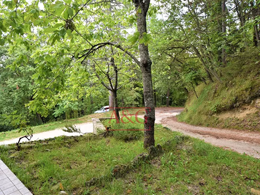 Immagine 32 di Villetta a schiera in vendita  in contrada luogo di sasso a Montefalcone Appennino