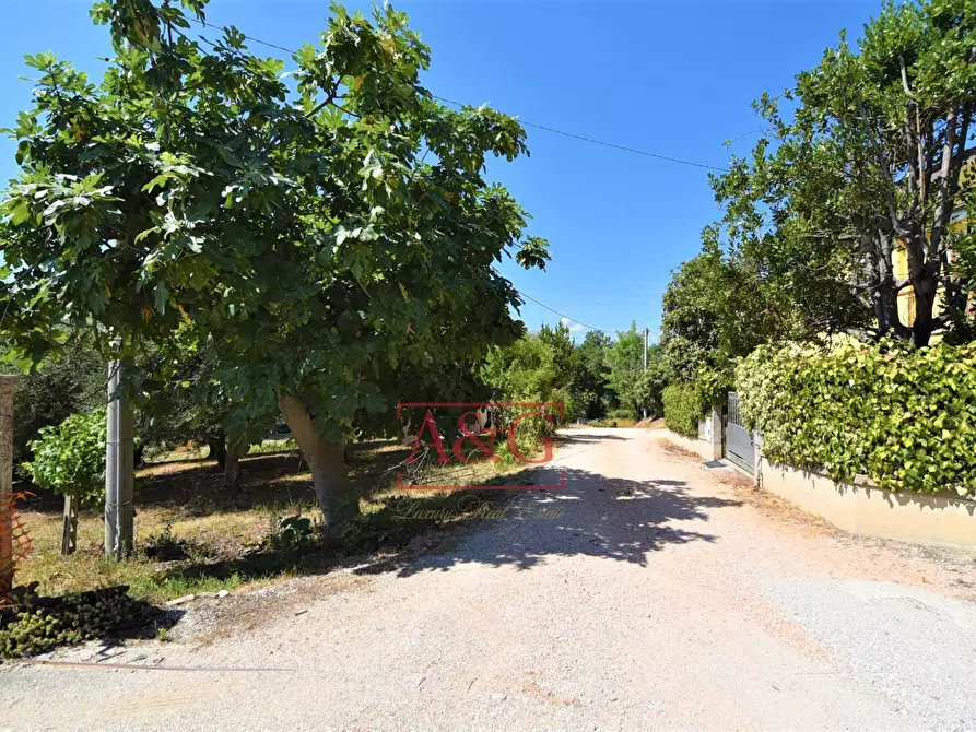 Immagine 46 di Appartamento in vendita  in Via Castellarso Ete 59/A a Belmonte Piceno