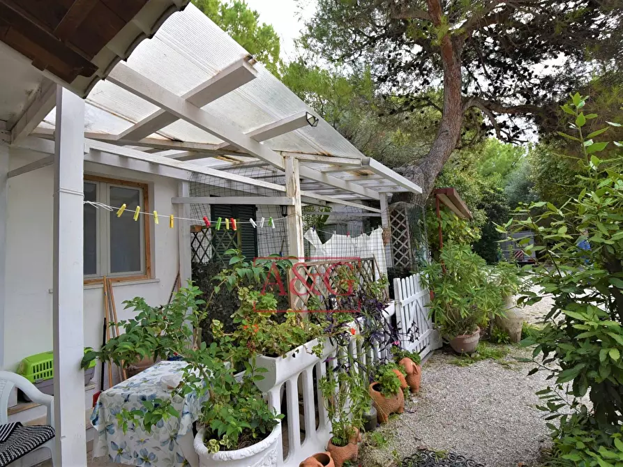 Immagine 22 di Attività commerciale in vendita  in Via Moricone 7 a Agugliano