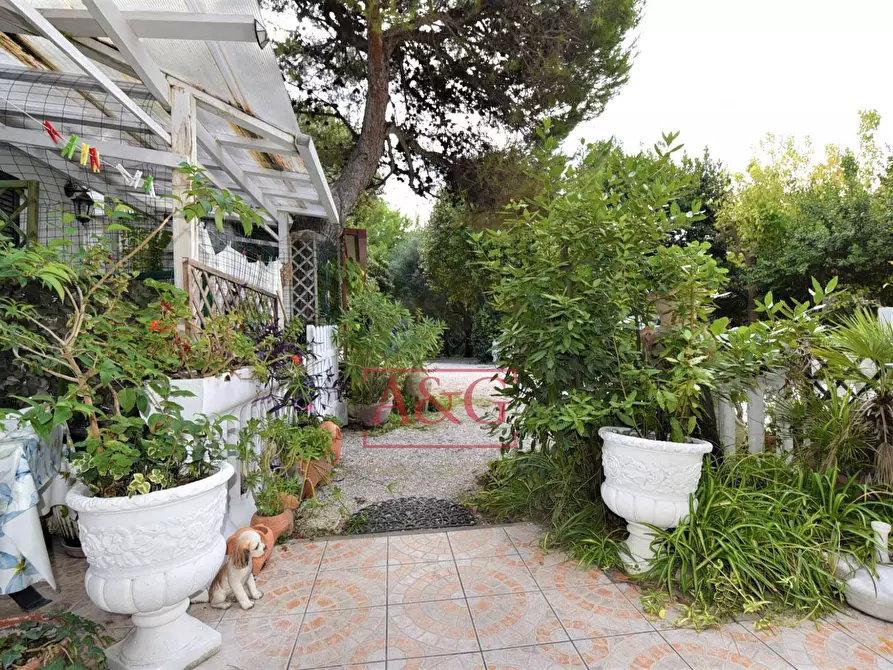 Immagine 43 di Attività commerciale in vendita  in Via Moricone 7 a Agugliano