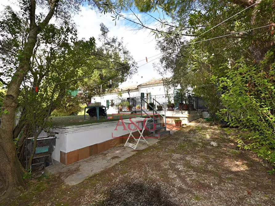 Immagine 73 di Attività commerciale in vendita  in Via Moricone 7 a Agugliano