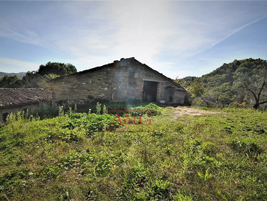 Immagine 29 di Rustico / casale in vendita  in amandola a Amandola