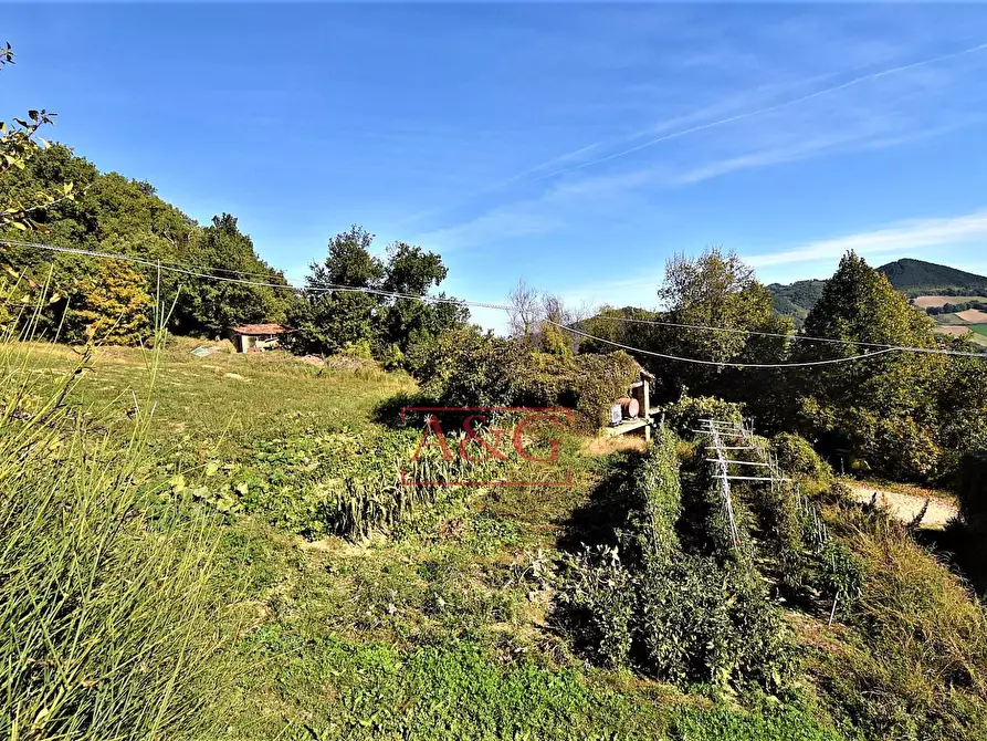 Immagine 30 di Rustico / casale in vendita  in amandola a Amandola