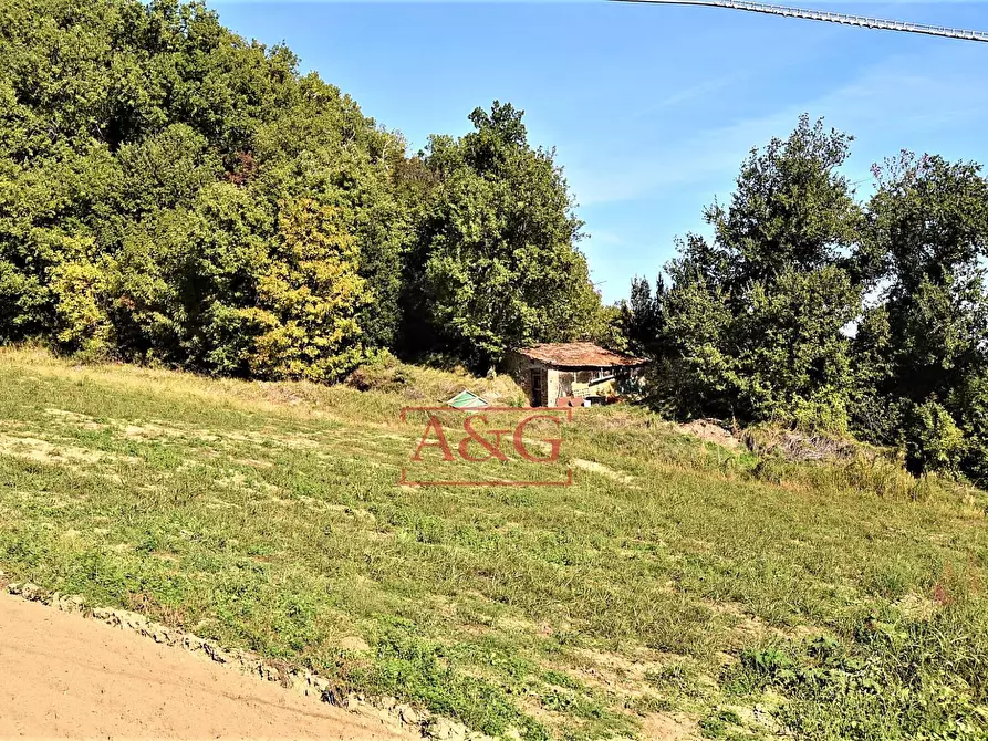 Immagine 31 di Rustico / casale in vendita  in amandola a Amandola