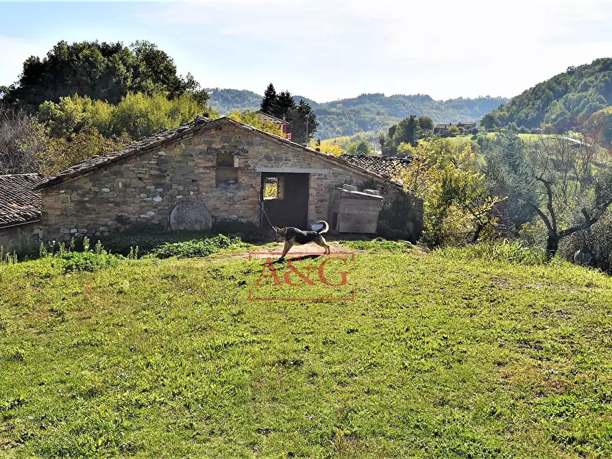 Immagine 32 di Rustico / casale in vendita  in amandola a Amandola