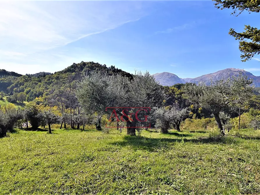 Immagine 33 di Rustico / casale in vendita  in amandola a Amandola