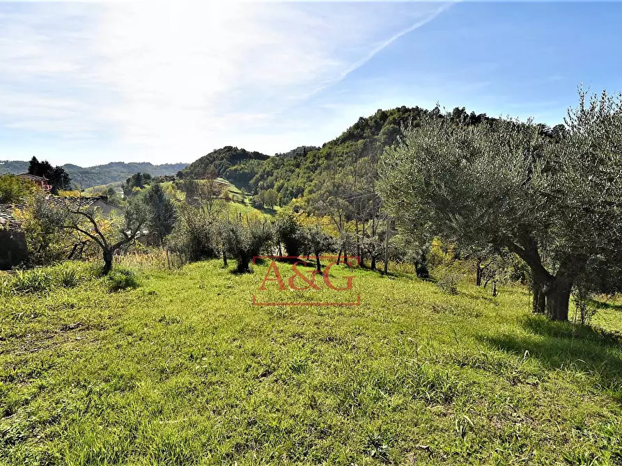 Immagine 34 di Rustico / casale in vendita  in amandola a Amandola