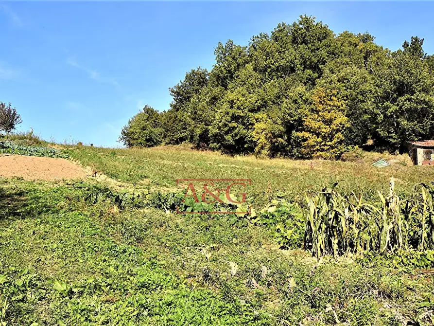 Immagine 35 di Rustico / casale in vendita  in amandola a Amandola