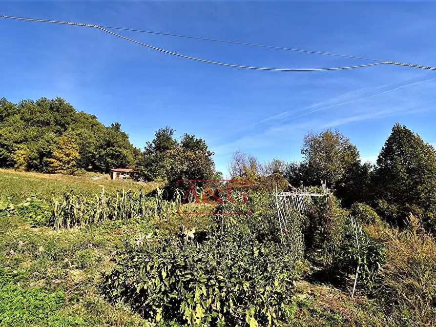 Immagine 36 di Rustico / casale in vendita  in amandola a Amandola