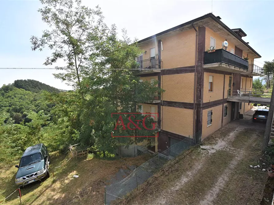 Immagine 17 di Appartamento in vendita  in Via Don Settimio Vallorani a Montemonaco