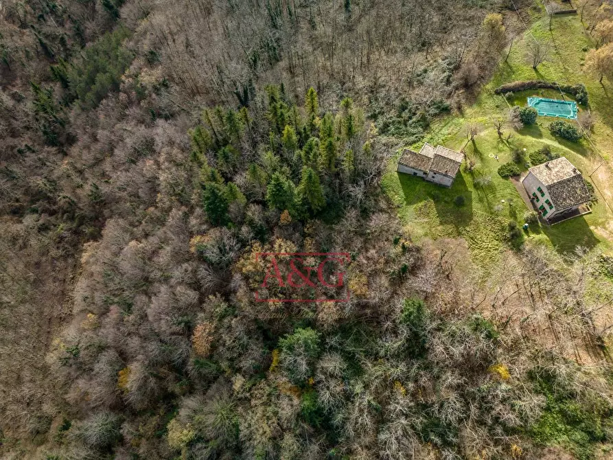 Immagine 5 di Rustico / casale in vendita  in VILLA VIDONI a Amandola