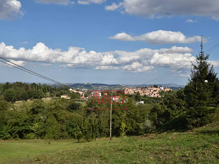 Immagine 64 di Rustico / casale in vendita  in Contrada Santa Maria Maddalena 5 a Sant'angelo In Pontano