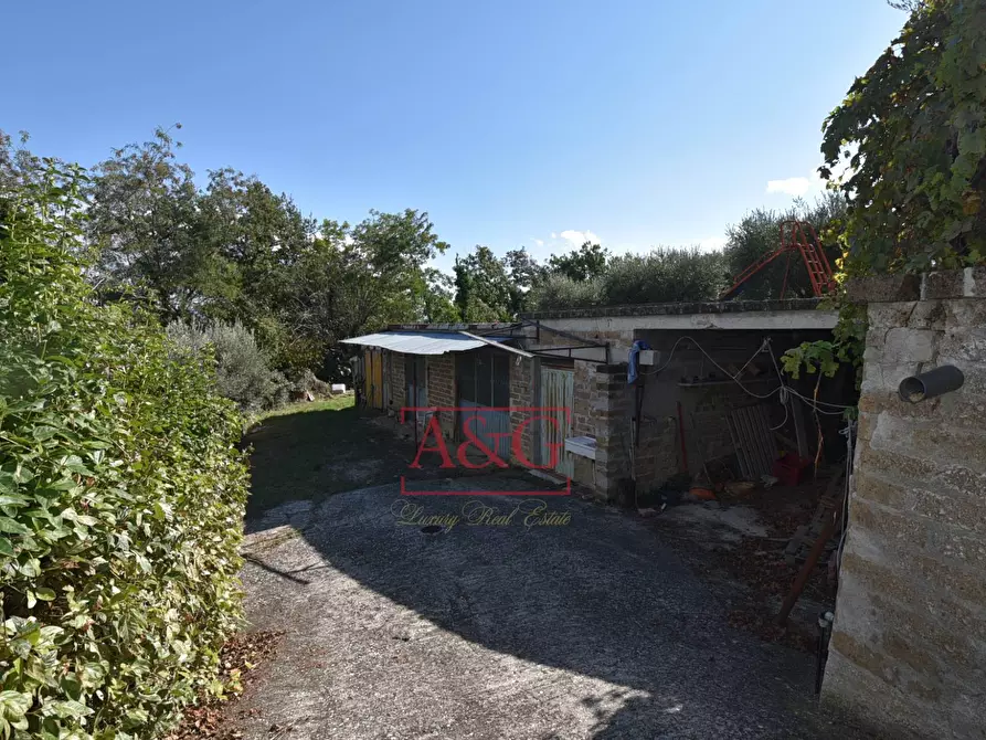 Immagine 54 di Rustico / casale in vendita  in Contrada Santa Maria Maddalena 5 a Sant'angelo In Pontano