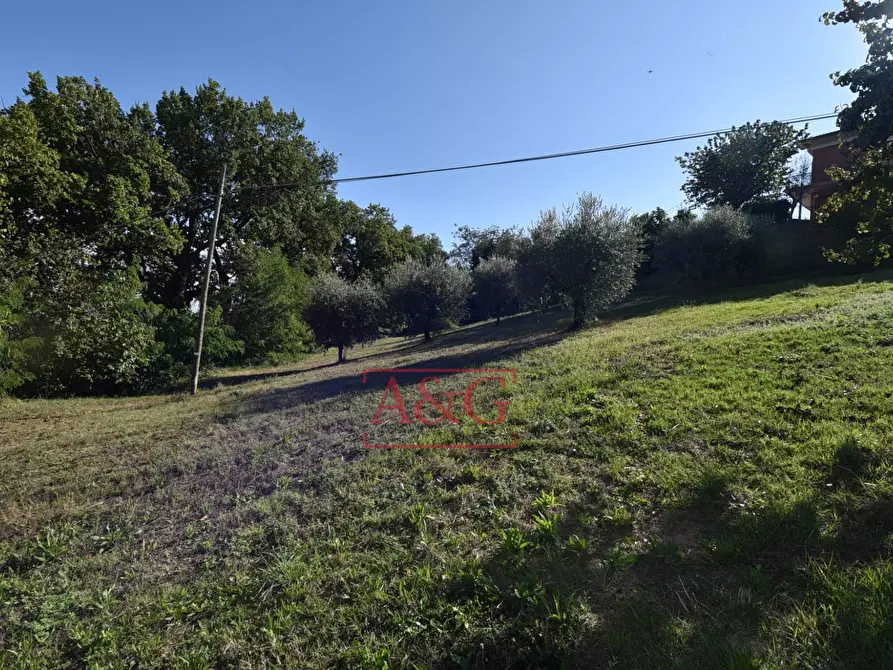 Immagine 61 di Rustico / casale in vendita  in Contrada Santa Maria Maddalena 5 a Sant'angelo In Pontano