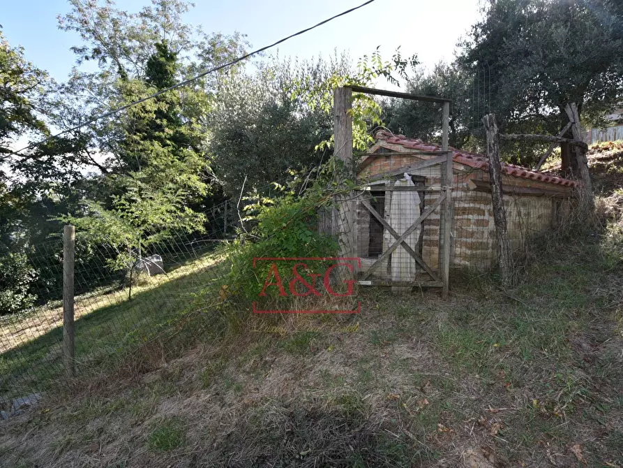 Immagine 63 di Rustico / casale in vendita  in Contrada Santa Maria Maddalena 5 a Sant'angelo In Pontano