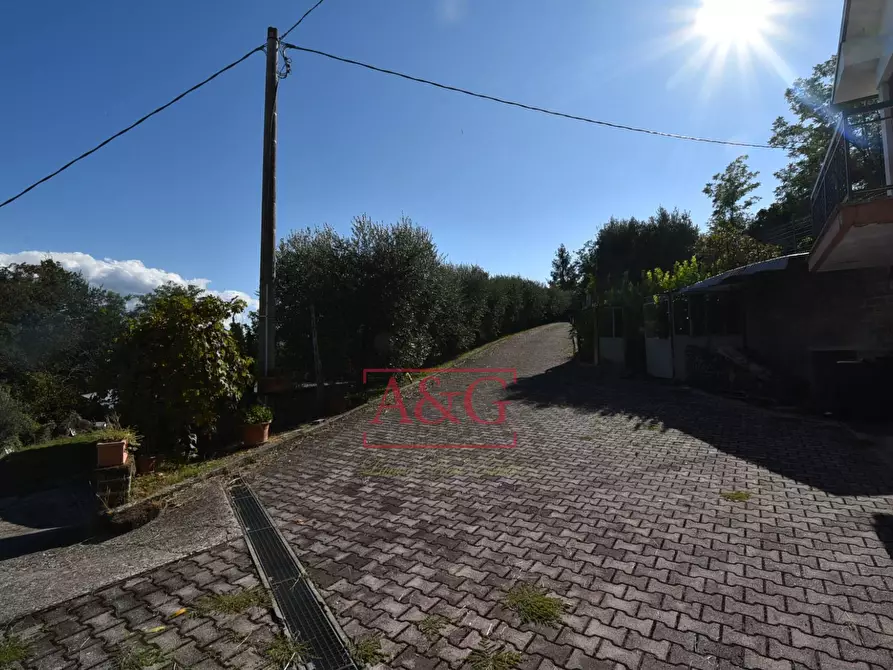 Immagine 62 di Rustico / casale in vendita  in Contrada Santa Maria Maddalena 5 a Sant'angelo In Pontano