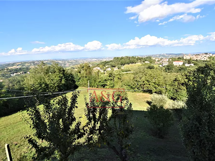 Immagine 60 di Rustico / casale in vendita  in Contrada Santa Maria Maddalena 5 a Sant'angelo In Pontano