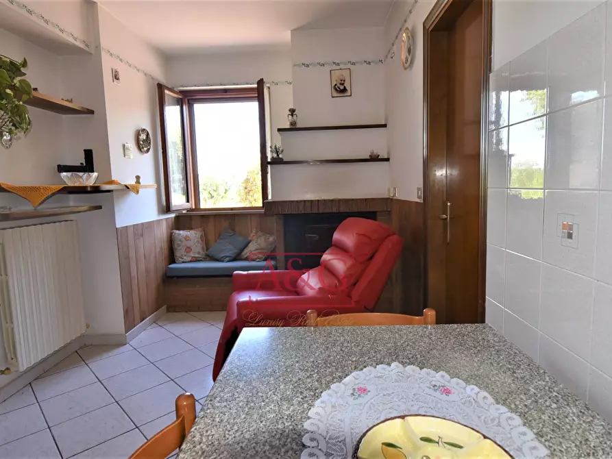 Immagine 38 di Rustico / casale in vendita  in Contrada Santa Maria Maddalena 5 a Sant'angelo In Pontano