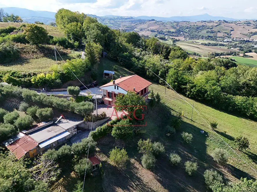 Immagine 53 di Rustico / casale in vendita  in Contrada Santa Maria Maddalena 5 a Sant'angelo In Pontano