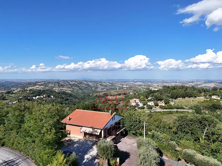 Immagine 66 di Rustico / casale in vendita  in Contrada Santa Maria Maddalena 5 a Sant'angelo In Pontano