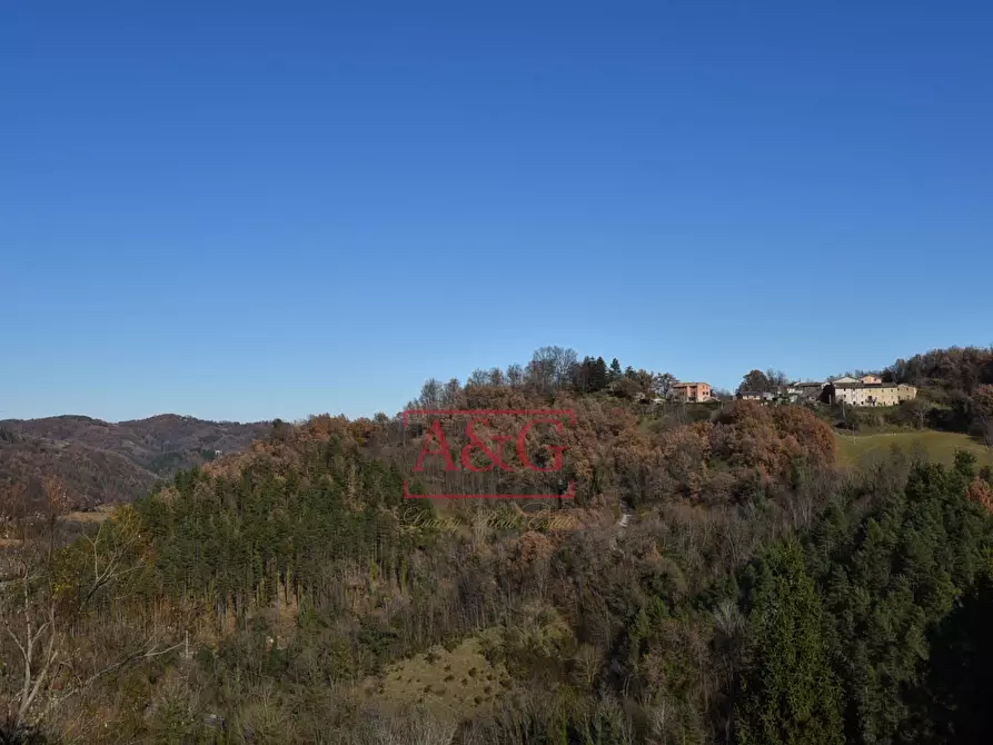 Immagine 21 di Appartamento in vendita  in via domenico sbarra 16 a Montefortino