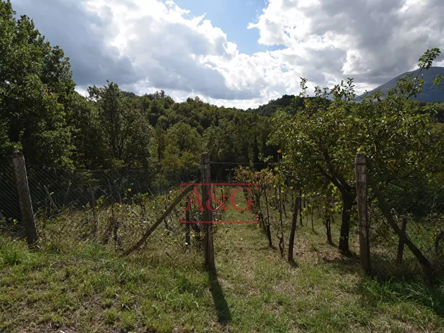 Immagine 20 di Rustico / casale in vendita  in villa casa paradisi superiore snc a Amandola