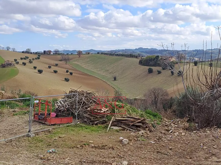 Immagine 49 di Casa indipendente in vendita  in Via Castellarso Ete 59/A a Belmonte Piceno