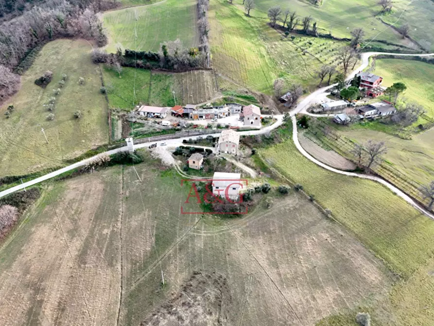 Immagine 58 di Rustico / casale in vendita  in VIA BARCHETTA snc a Monte San Martino