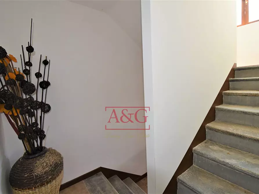 Immagine 15 di Rustico / casale in vendita  in Contrada Biordi 3 a Penna San Giovanni