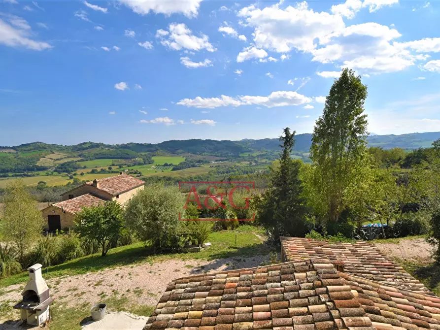Immagine 64 di Rustico / casale in vendita  in Contrada Biordi 3 a Penna San Giovanni