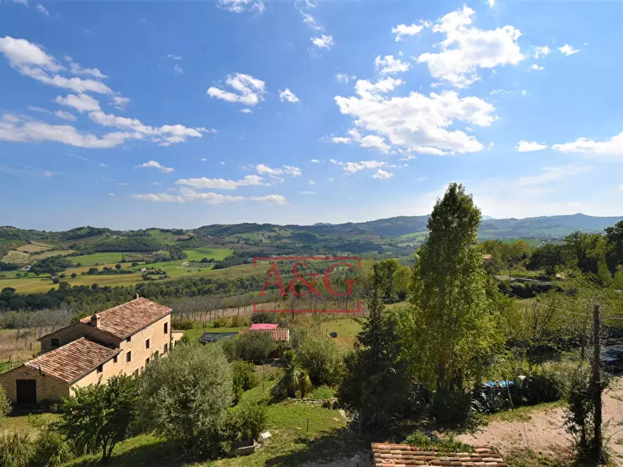 Immagine 66 di Rustico / casale in vendita  in Contrada Biordi 3 a Penna San Giovanni