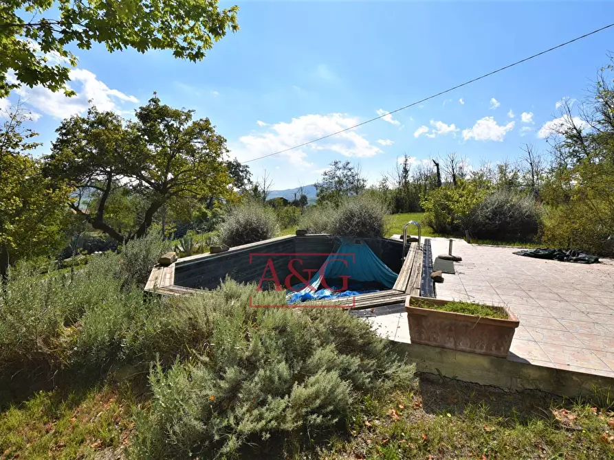 Immagine 68 di Rustico / casale in vendita  in Contrada Biordi 3 a Penna San Giovanni