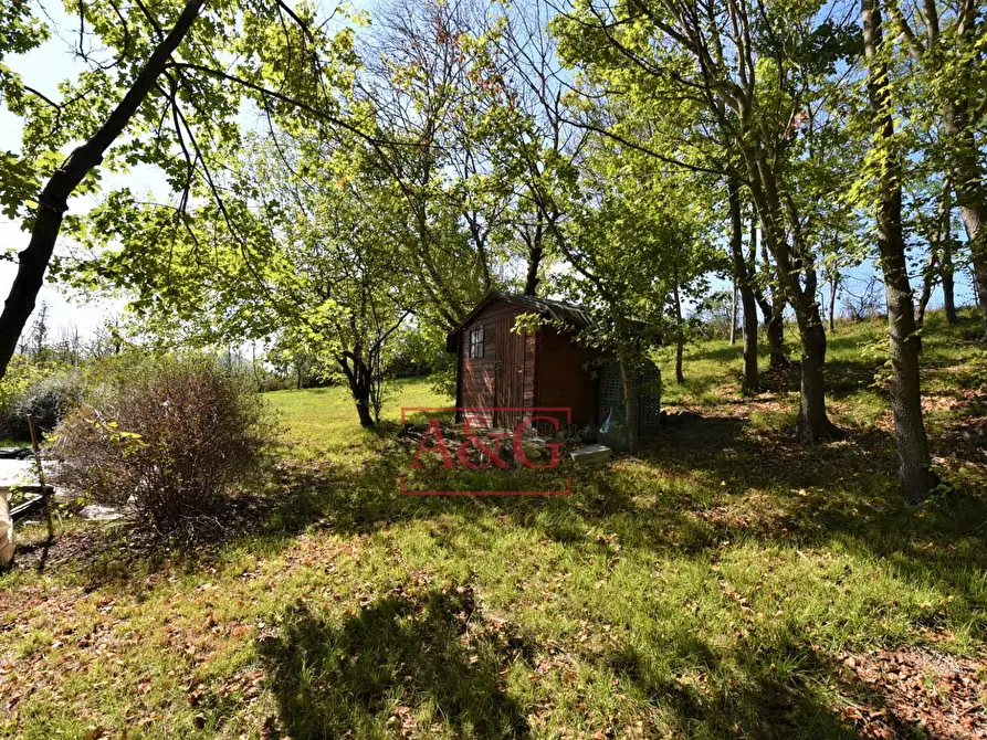 Immagine 72 di Rustico / casale in vendita  in Contrada Biordi 3 a Penna San Giovanni