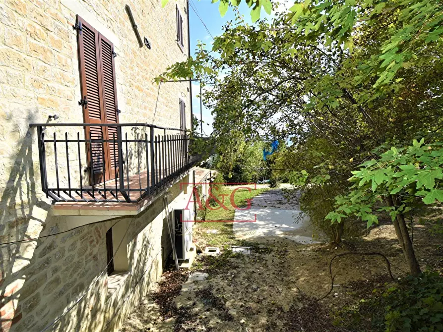 Immagine 62 di Rustico / casale in vendita  in Contrada Biordi 3 a Penna San Giovanni